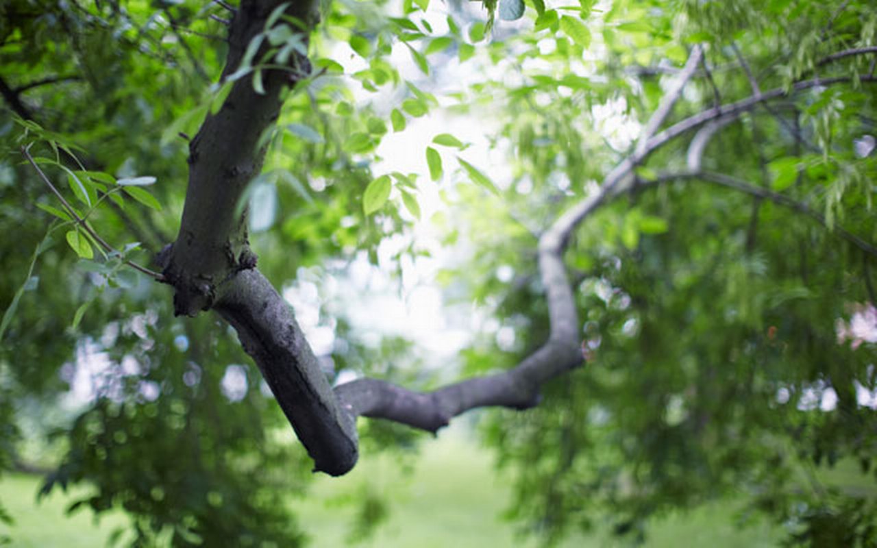 Commitment-Environmental-640x400.jpg